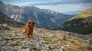 Code Unleashed 2026:<br>Outlook, Insights, Metrics, and Playbooks